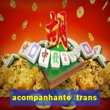 acompanhante trans porto seguro